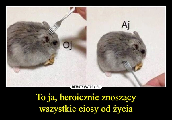 
    To ja, heroicznie znoszący
wszystkie ciosy od życia