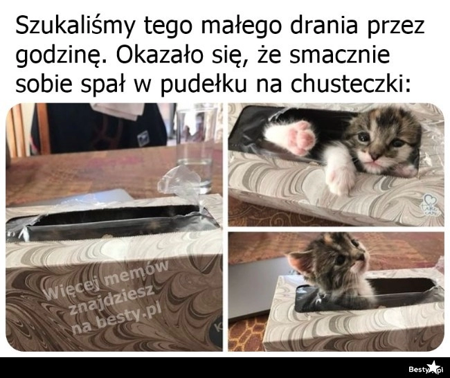 
    Tylko strachu narobił 