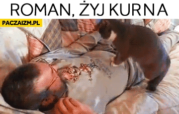 
    Roman żyj kurna kot ratownik reanimacja