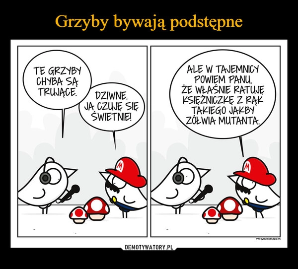 
    Grzyby bywają podstępne