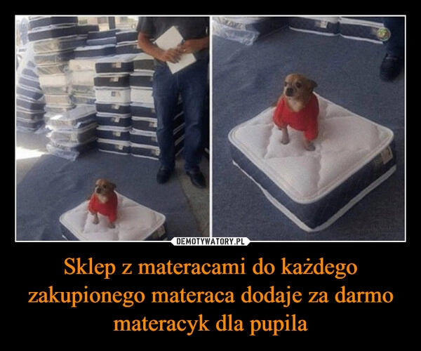 
    Sklep z materacami do każdego zakupionego materaca dodaje za darmo materacyk dla pupila