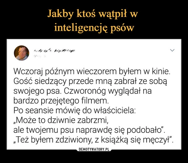 
    
Jakby ktoś wątpił w
inteligencję psów 