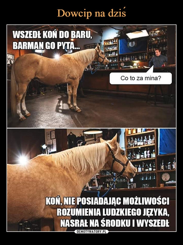 
    Dowcip na dziś