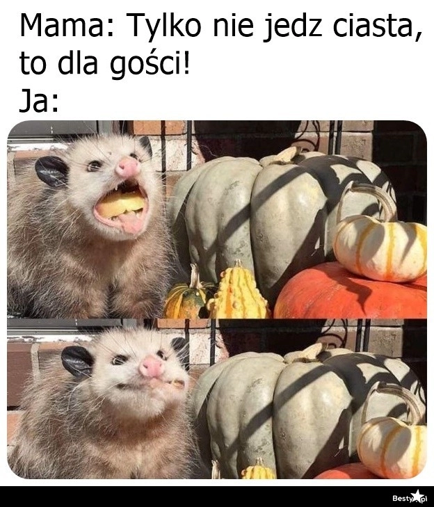 
    Za późno