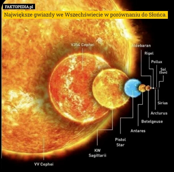
    Największe gwiazdy we Wszechświecie w porównaniu do Słońca.