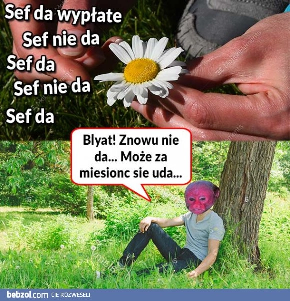 
    Wypłata 