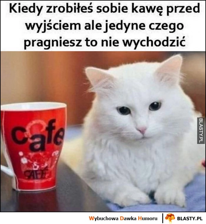 
    Kiedy zrobiłeś sobie kawę przed wyjściem, ale jedyne czego pragniesz to nie wychodzić kot