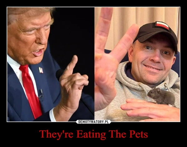 
    They're Eating The Pets