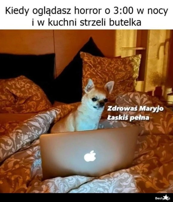 
    Wyobraźnia działa 