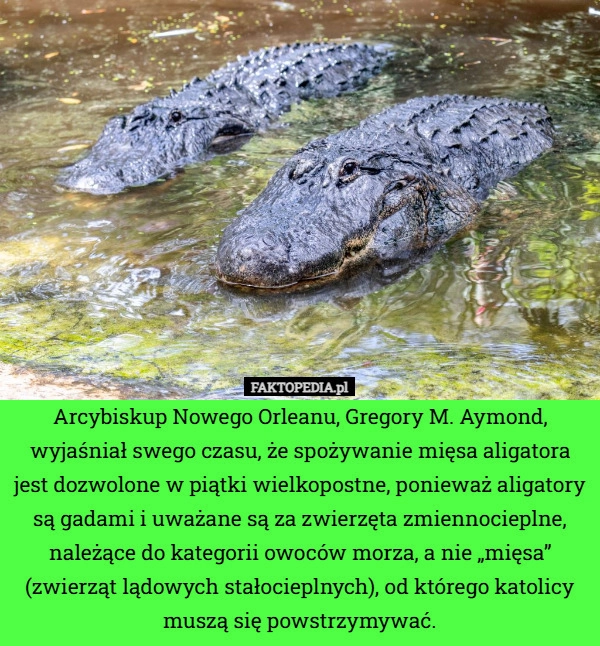 
    Arcybiskup Nowego Orleanu, Gregory M. Aymond, wyjaśniał swego czasu, że