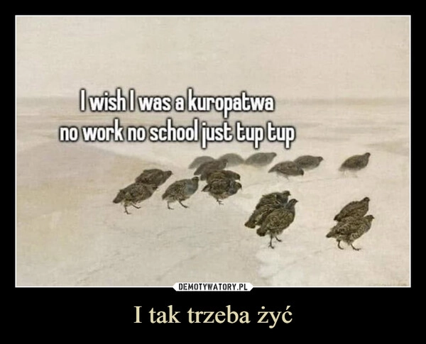 
    I tak trzeba żyć