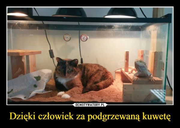 
    Dzięki człowiek za podgrzewaną kuwetę