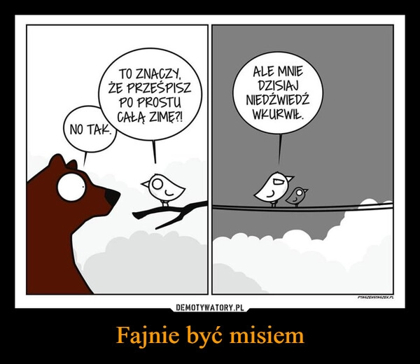 
    Fajnie być misiem