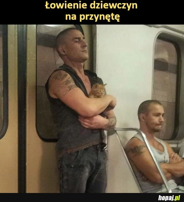 
    Przynęta