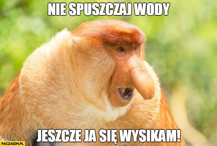 
    Nie spuszczaj wody jeszcze ja się wysikam typowy Polak nosacz