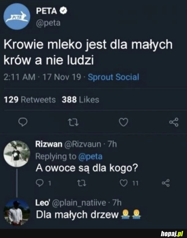 
    Logiczne