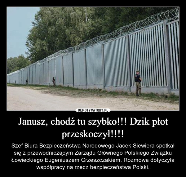 
    Janusz, chodź tu szybko!!! Dzik płot przeskoczył!!!!