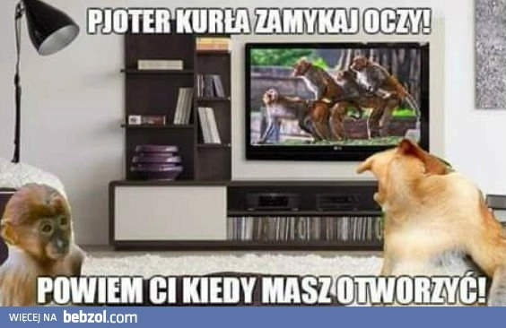 
    Kiedy w filmie pojawiają się sceny łóżkowe