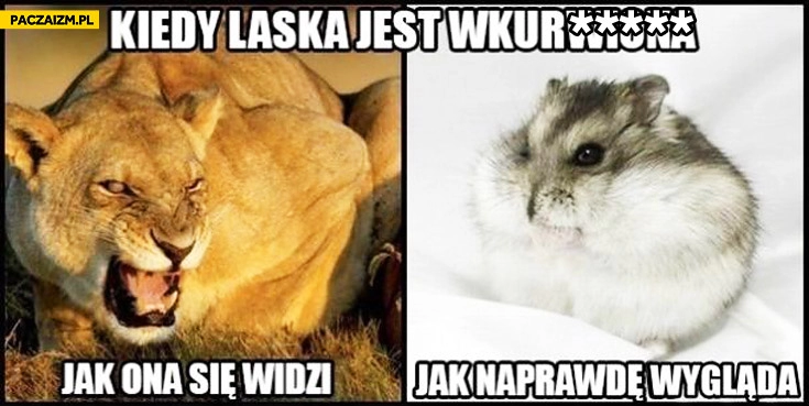 
    Kiedy laska jest wkurwiona jak ona się widzi jak wygląda