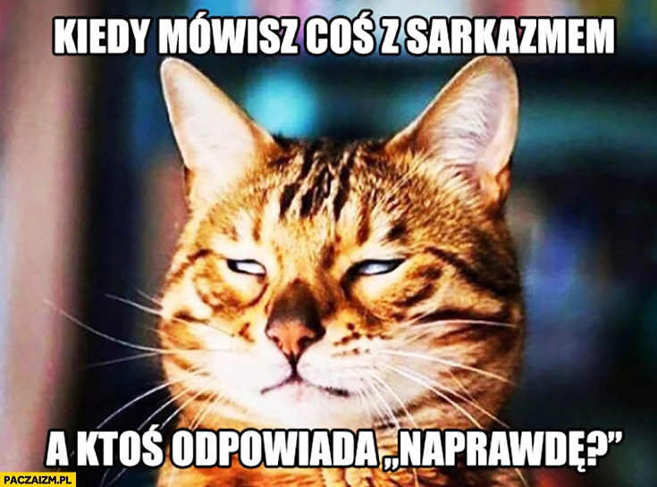 
    Kiedy mówisz coś z sarkazmem a ktoś odpowiada naprawdę kot