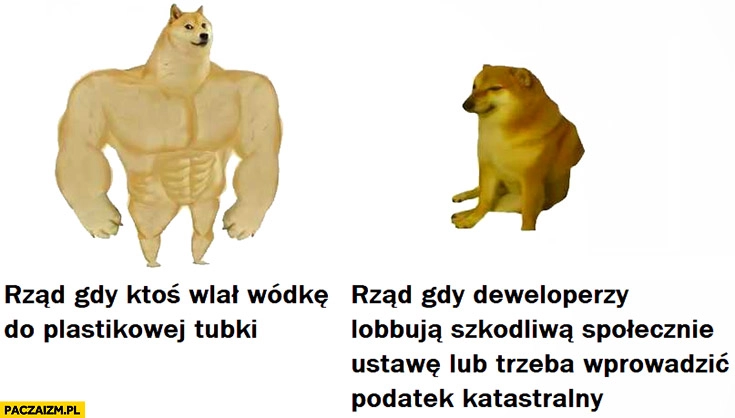 
    Rząd gdy ktoś wlał wódkę do plastikowej tubki vs gdy deweloperzy lobbują kredyt 0% pies pieseł doge