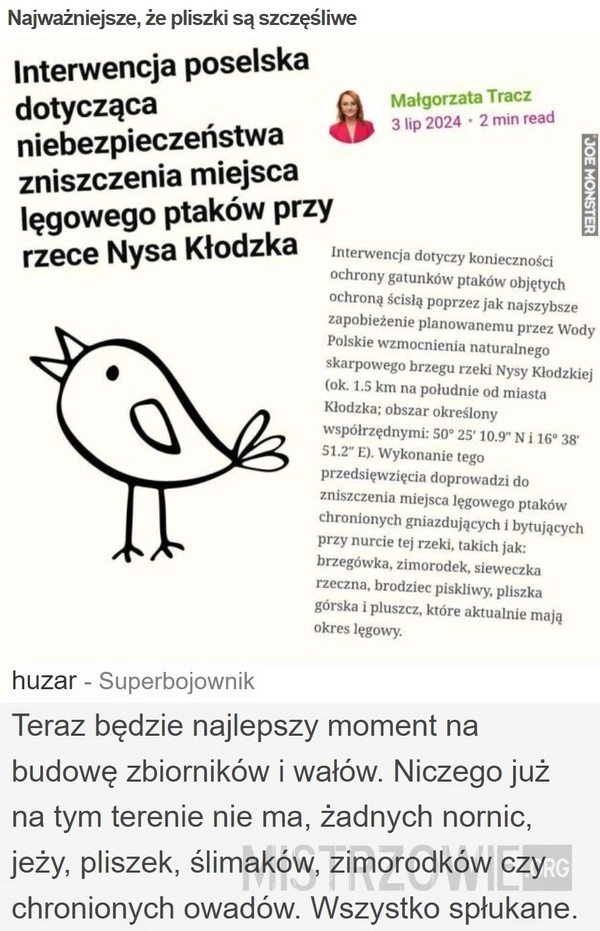 
    Najważniejsze, że pliszki są szczęśliwe