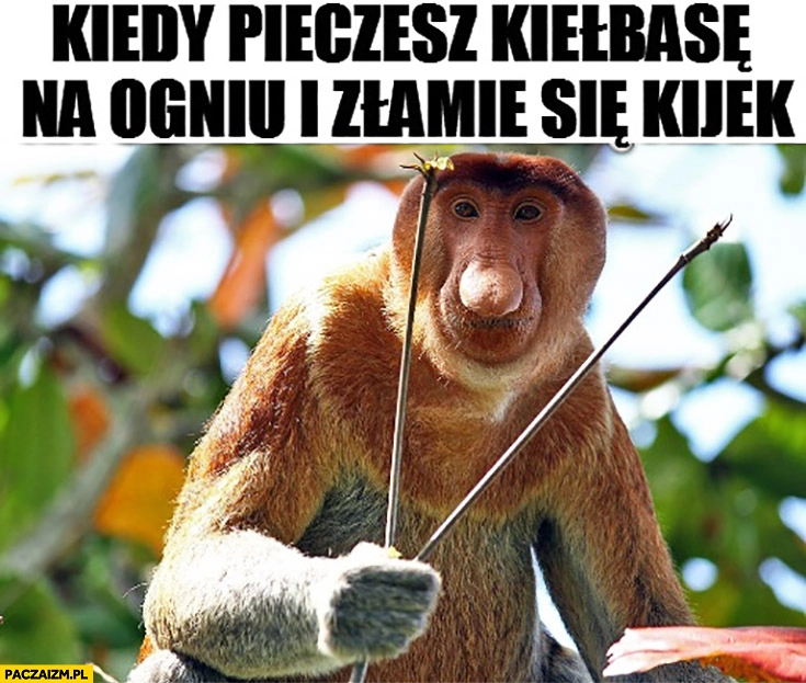 
    Kiedy pieczesz kiełbasę na ogniu i złamie się kijek. Typowy Polak nosacz