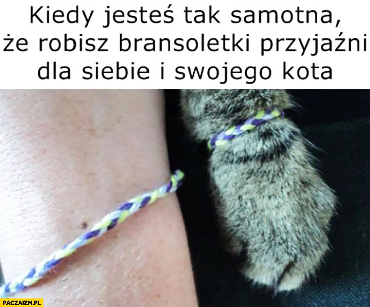 
    Kiedy jesteś tak samotna, że robisz bransoletki przyjaźni dla siebie i swojego kota