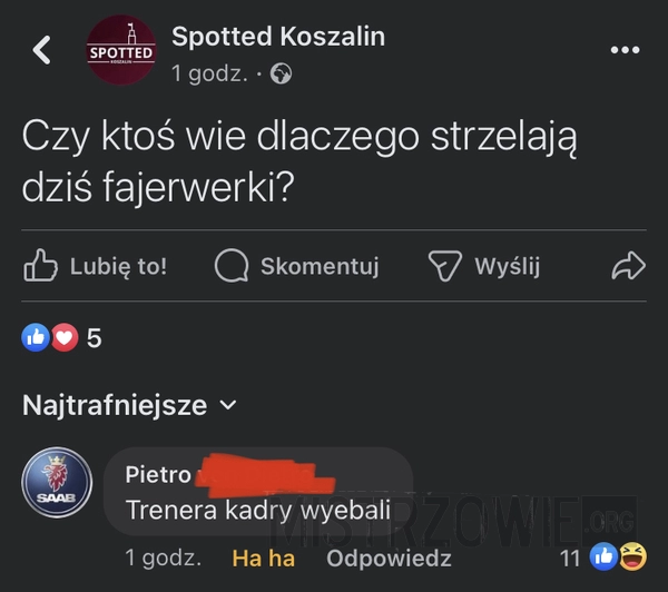 
    Kibice zaczynają świętować