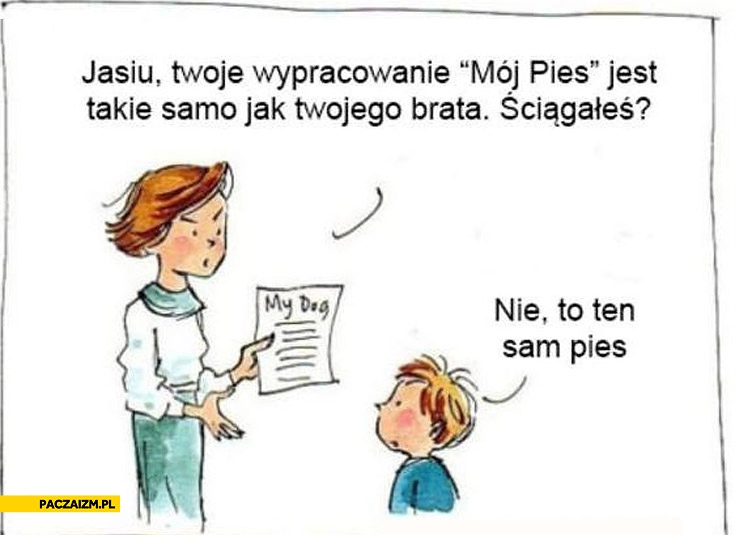 
    Wypracowanie mój pies ściągałeś