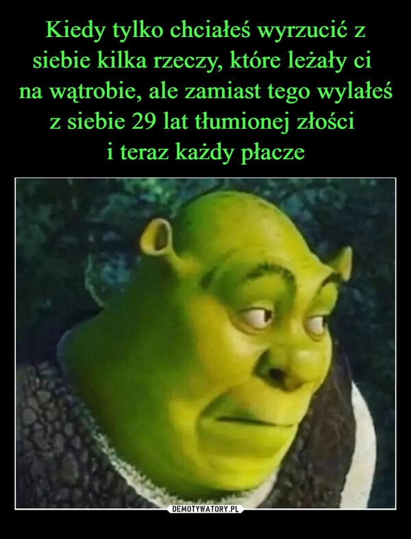 
    Kiedy tylko chciałeś wyrzucić z siebie kilka rzeczy, które leżały ci 
na wątrobie, ale zamiast tego wylałeś z siebie 29 lat tłumionej złości 
i teraz każdy płacze