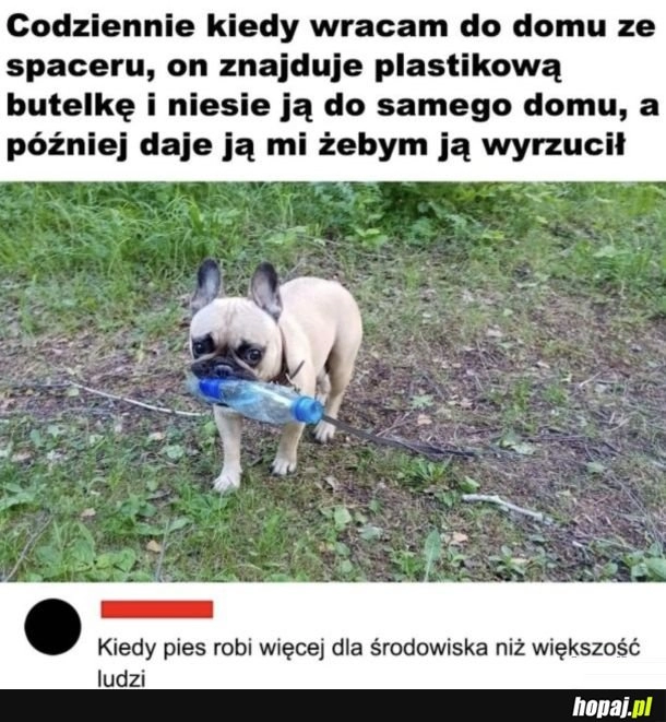 
    On mnie bardziej skłania do dbania o środowisko