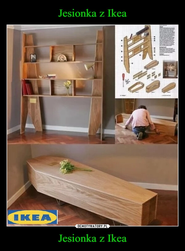 
    Jesionka z Ikea Jesionka z Ikea