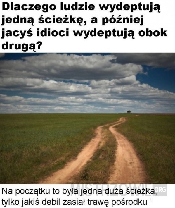 
    Ścieka