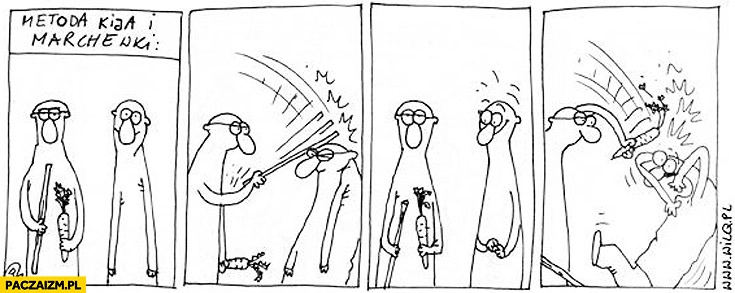 
    Metoda kija i marchewki Wilq