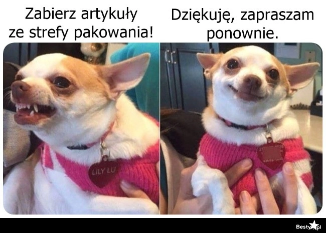 
    Kasy samoobsługowe 