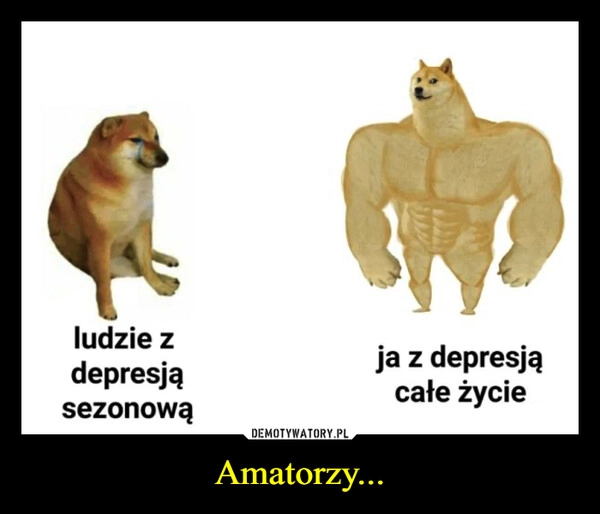 
    Amatorzy...