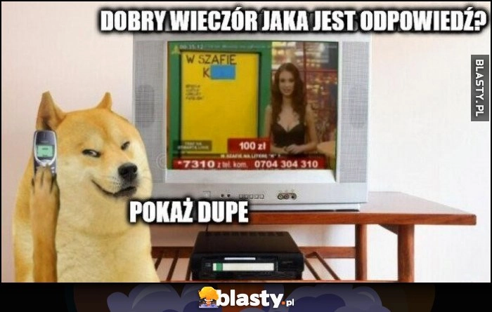 
    Pies pieseł doge dzwoni do telewizji, jaka jest odpowiedź? Pokaż dupę