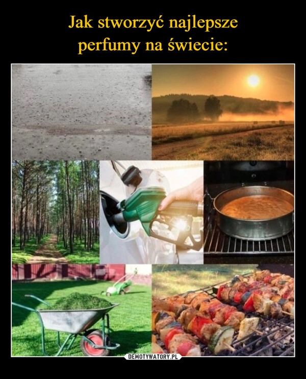 
    Jak stworzyć najlepsze
perfumy na świecie: