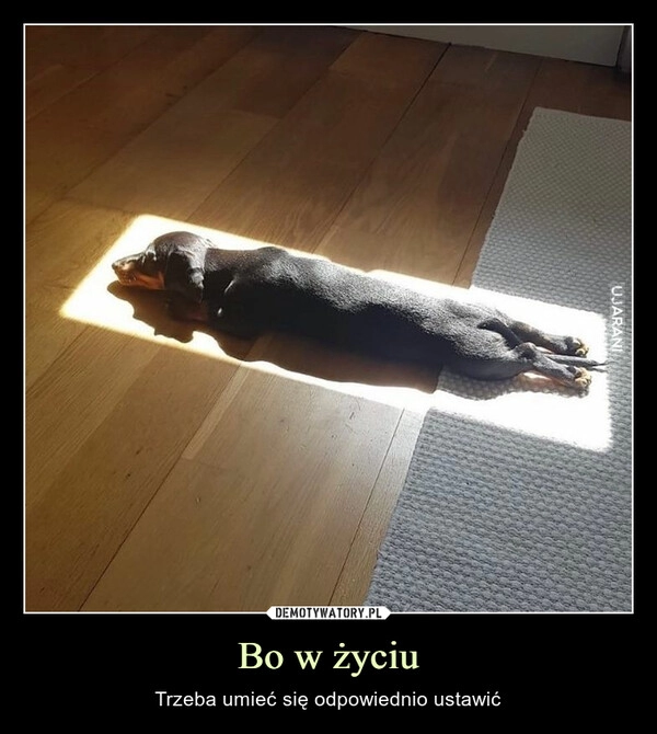 
    Bo w życiu