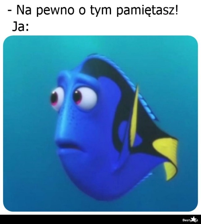 
    Pamięć jak u Dory 