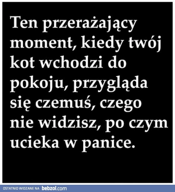 
    Ten moment