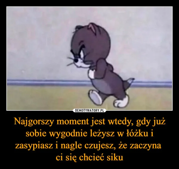 
    Najgorszy moment jest wtedy, gdy już sobie wygodnie leżysz w łóżku i zasypiasz i nagle czujesz, że zaczyna ci się chcieć siku