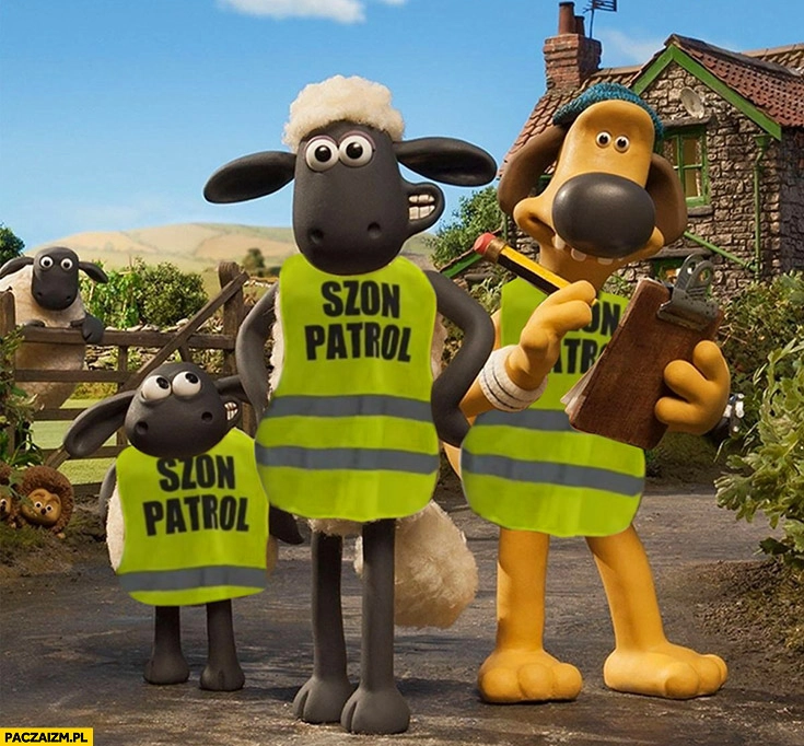 
    Szon patrol bajka baranek Shaun