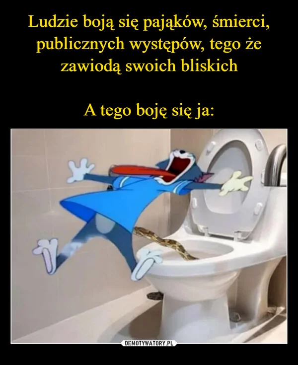 
    Ludzie boją się pająków, śmierci, publicznych występów, tego że zawiodą swoich bliskich A tego boję się ja:
