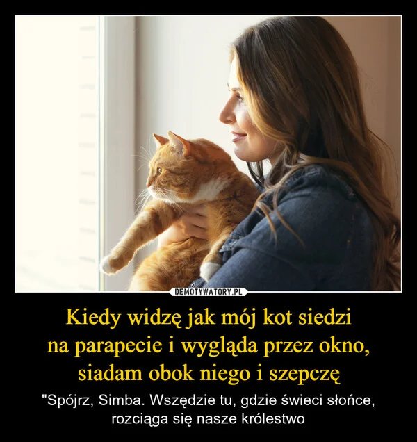 
    Kiedy widzę jak mój kot siedzi na parapecie i wygląda przez okno, siadam obok niego i szepczę
