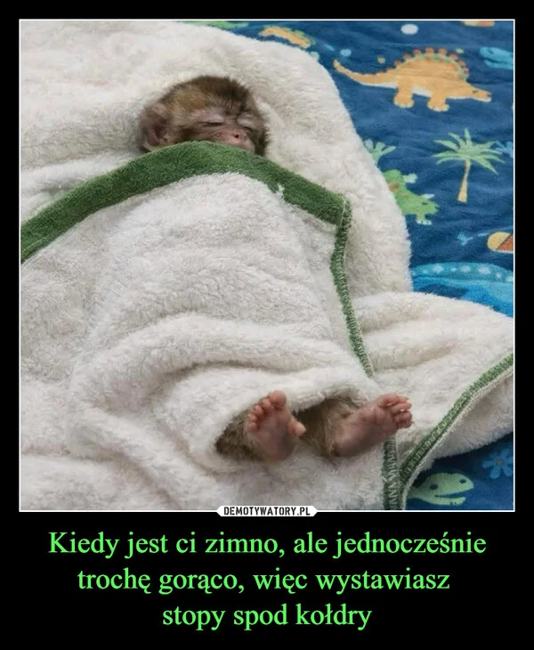 
    Kiedy jest ci zimno, ale jednocześnie trochę gorąco, więc wystawiasz stopy spod kołdry