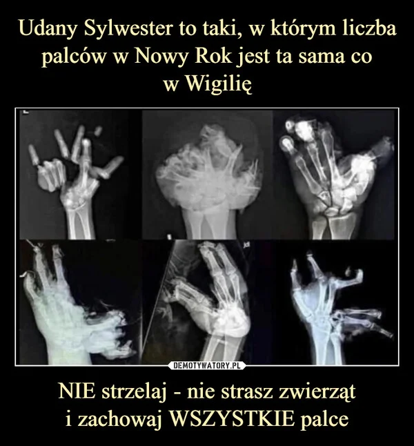 
    Udany Sylwester to taki, w którym liczba palców w Nowy Rok jest ta sama co w Wigilię NIE strzelaj - nie strasz zwierząt i zachowaj WSZYSTKIE palce