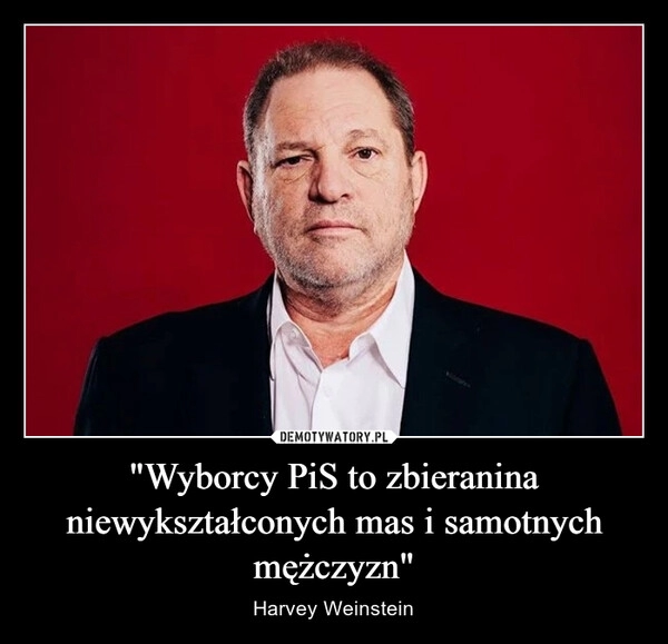 
    "Wyborcy PiS to zbieranina niewykształconych mas i samotnych mężczyzn"