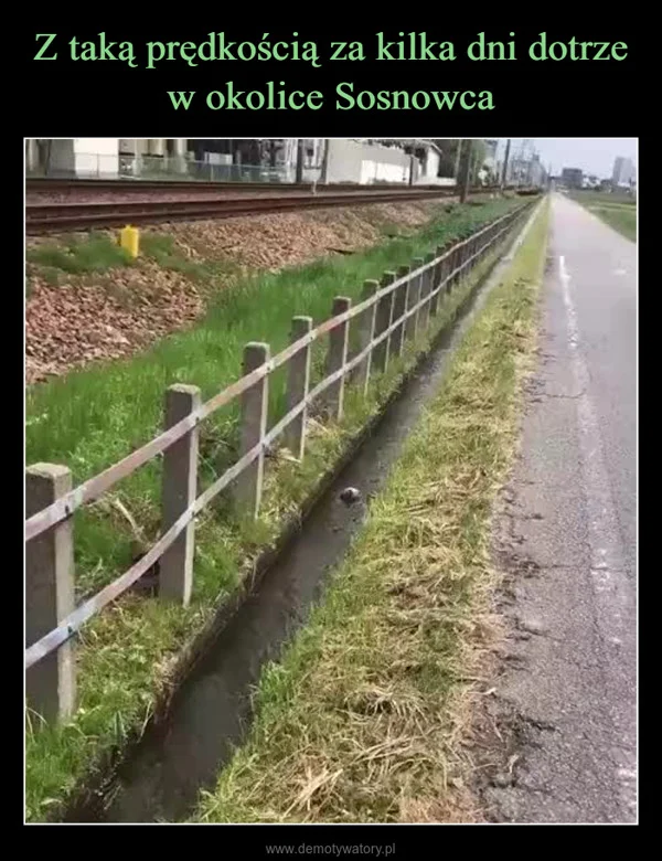 
    Z taką prędkością za kilka dni dotrze w okolice Sosnowca